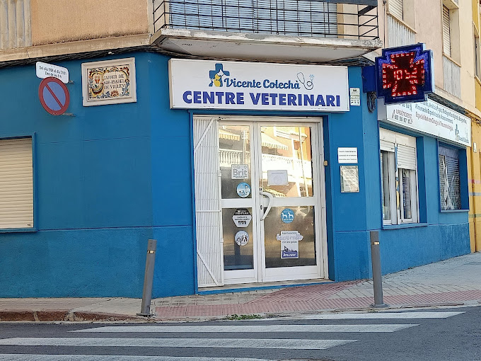 Centre Veterinari Vicent Colecha — Del propietario