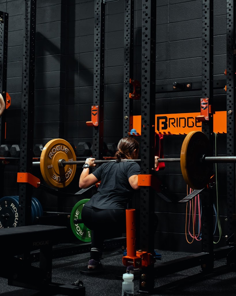  Velocity Human Design and Optimization