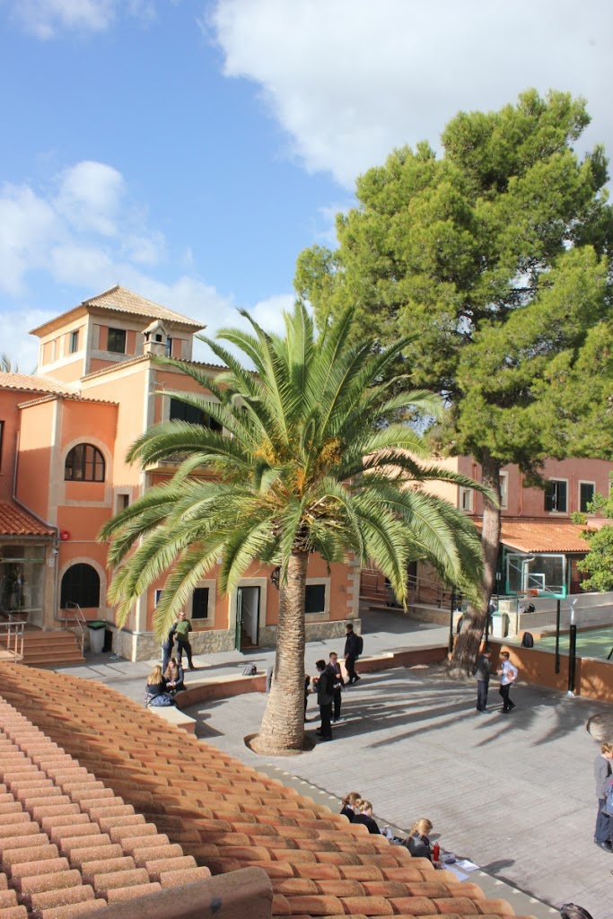 King Richard III College