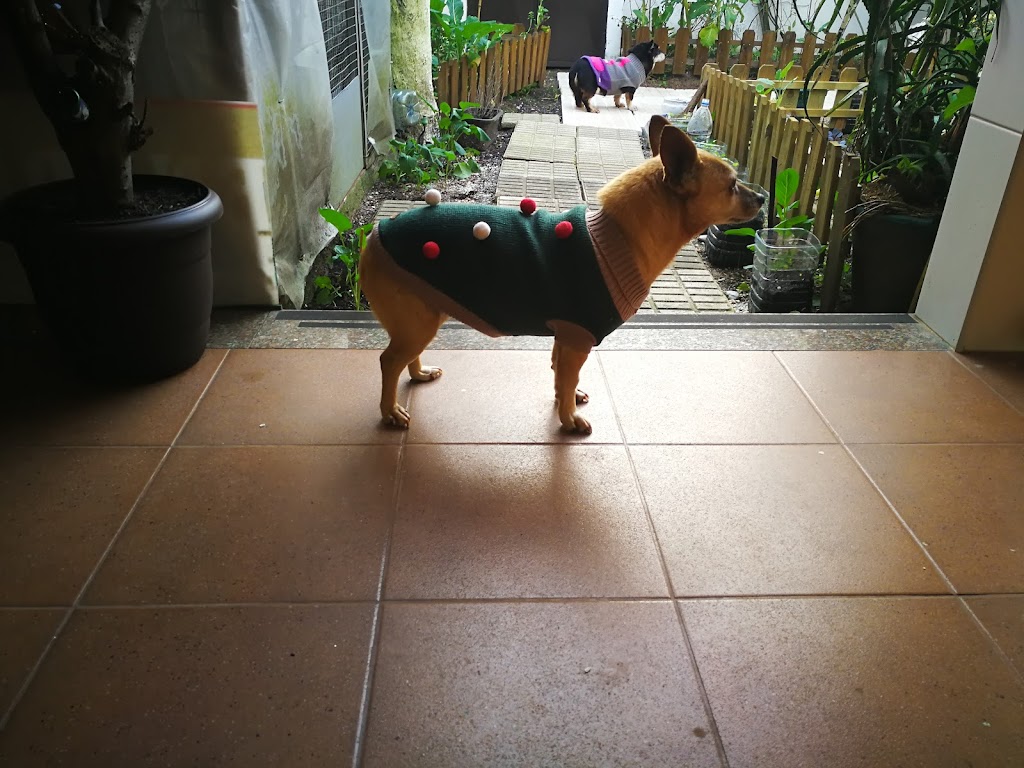 Foto da avaliação