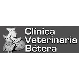 Clinica Veterinaria Betera — Del propietario