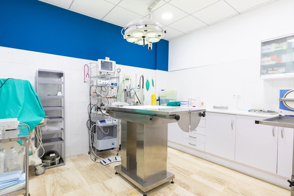Centre Veterinari Salou — Del propietario