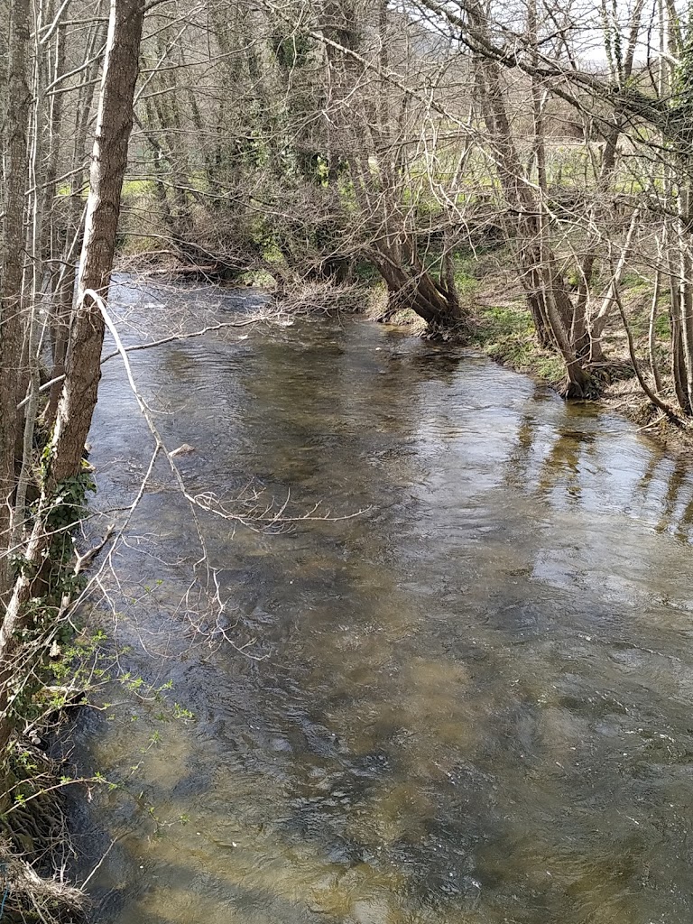 Puente de Palo