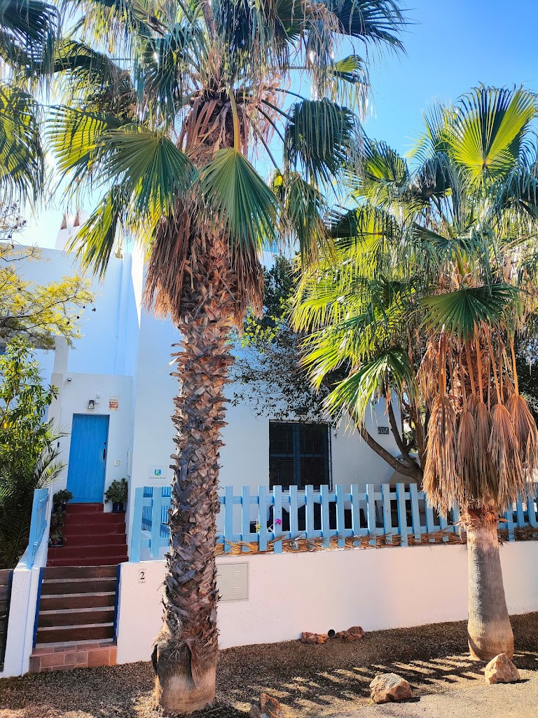 Elautenticocabodegata