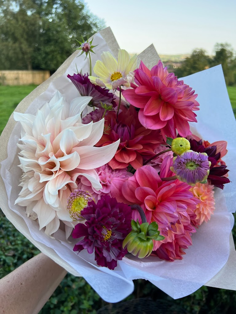 Mrs Bloom