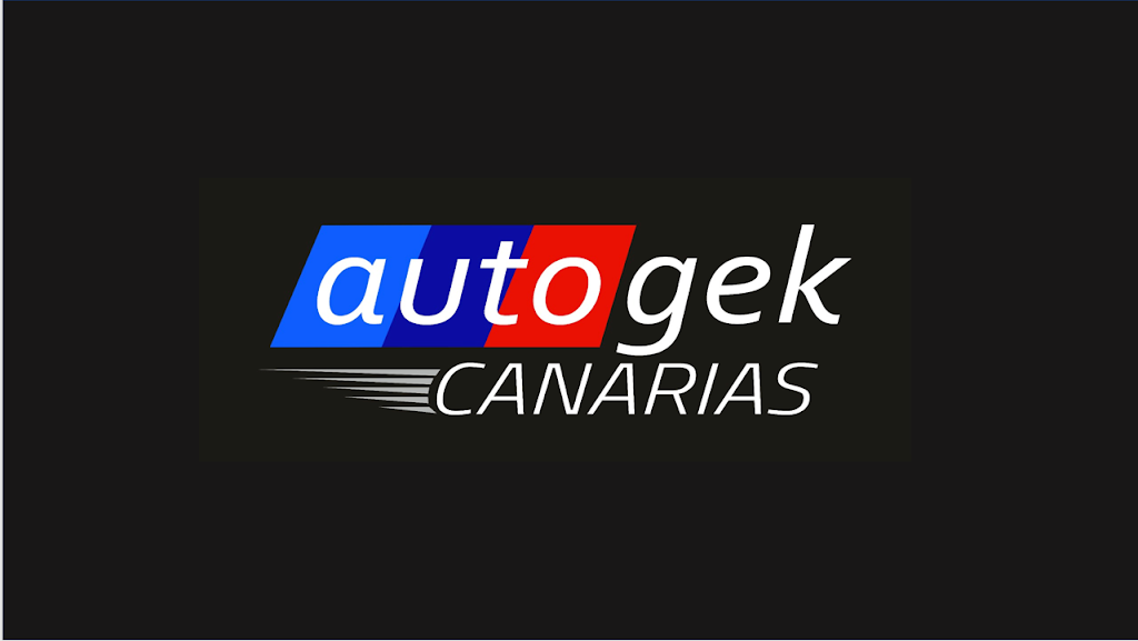 CHAPA Y PINTURA AUTOGEK — Del propietario