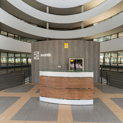 Estetica WS - Avantis Rivas