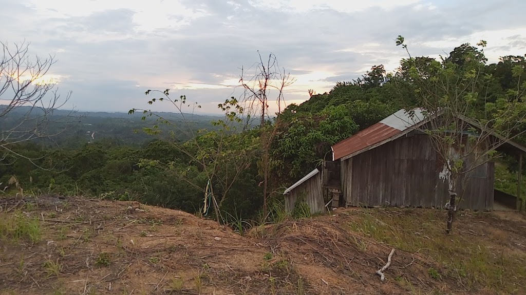 Puncak Samarinda 2 (ELC BERAMBAI)