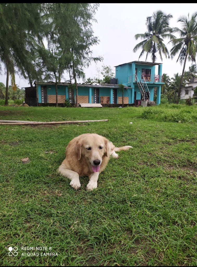 By owner