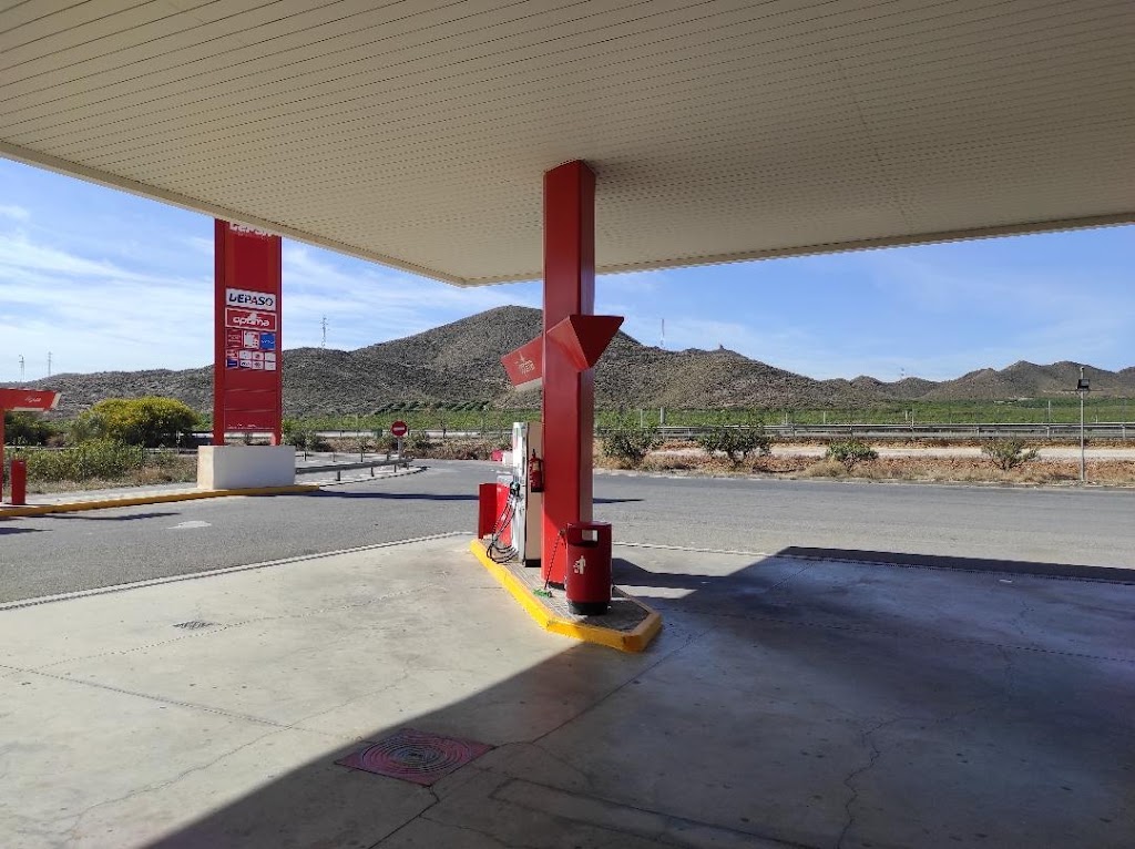Estacion de servicio Cepsa — Estacion de servicio