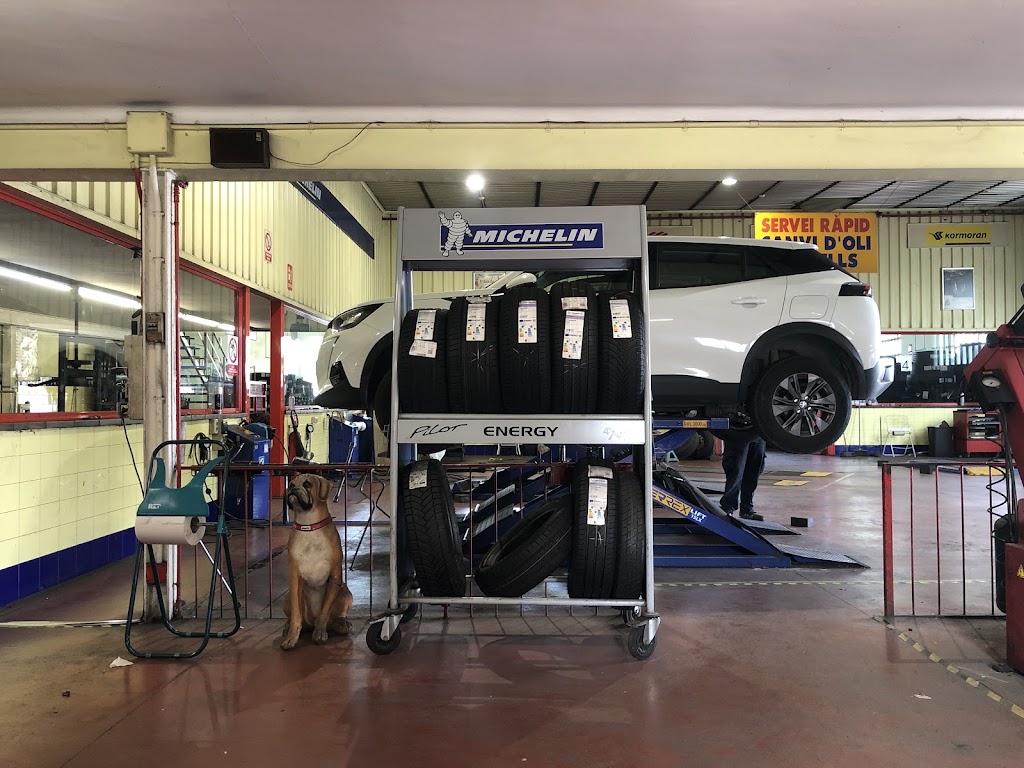 Euromaster Pneumatics Dalmau — Taller