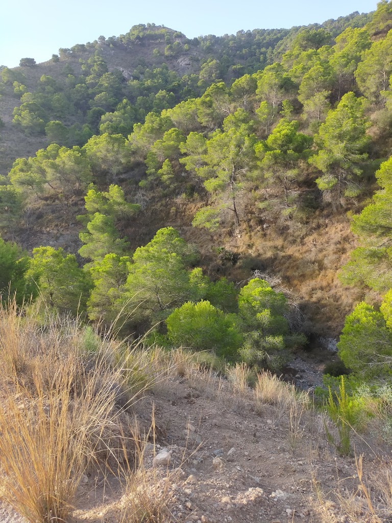Subida Al Monte De La Muela