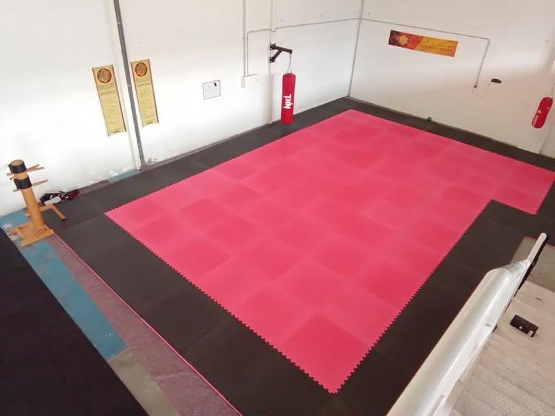 Chao Yue Kung Fu Torrejon - Artes marciales y defensa personal — Del propietario