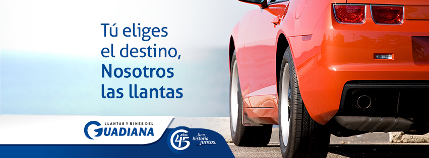 Michelin Car Service - Llantas y Rines del Guadiana Francisco Villa 2 — Del propietario