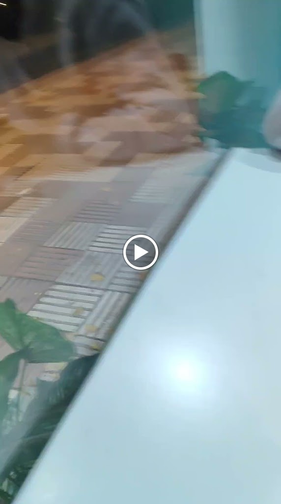 Restaurant la Pujada — Videos