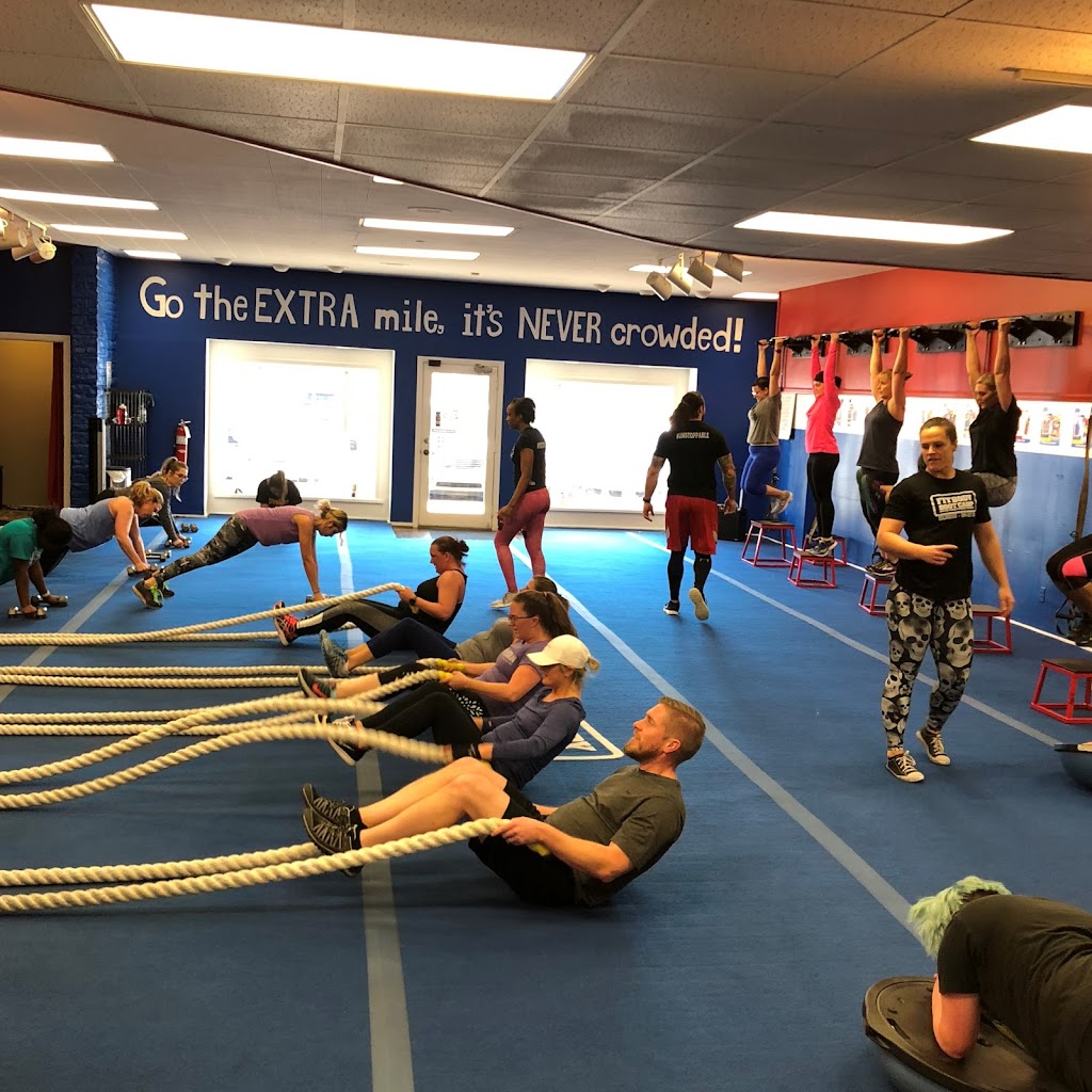  Elite Physique Fitness