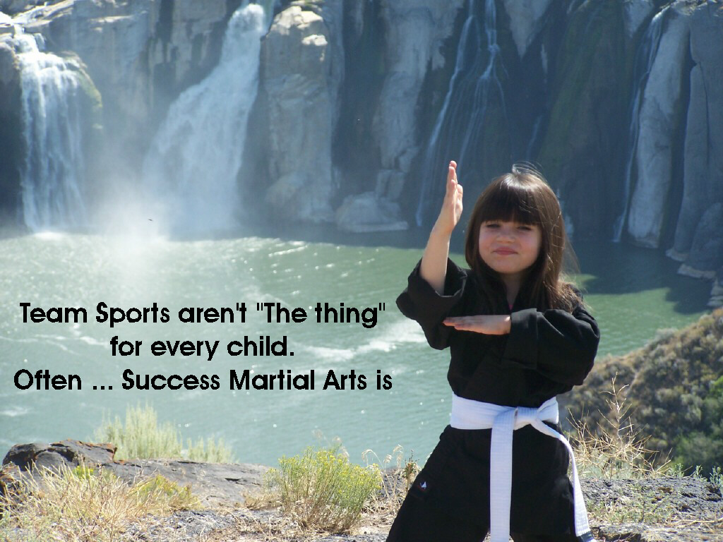  Success Martial Arts ( Twin Falls )