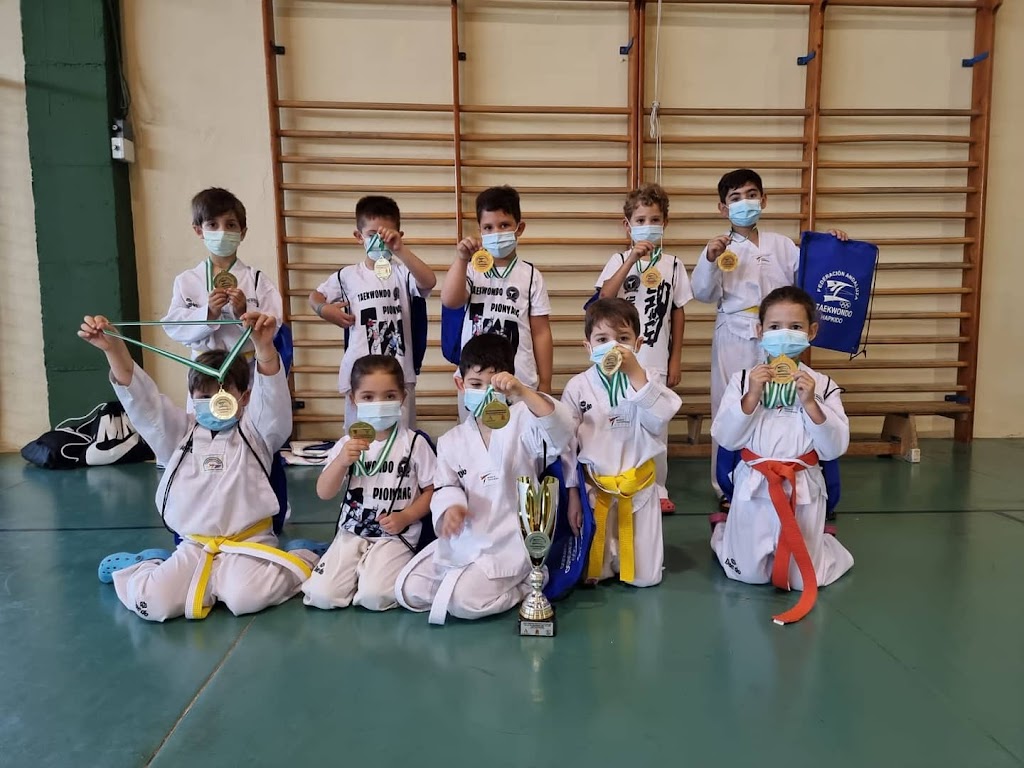 Taekwondo Pionyang Carmona