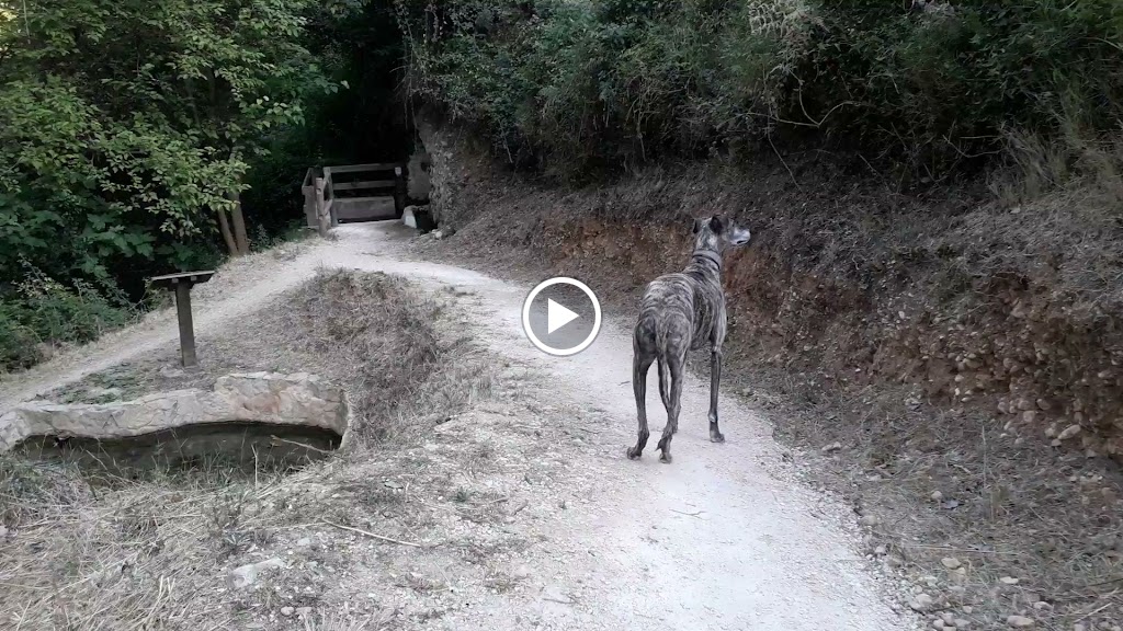 Rio Clariano — Videos