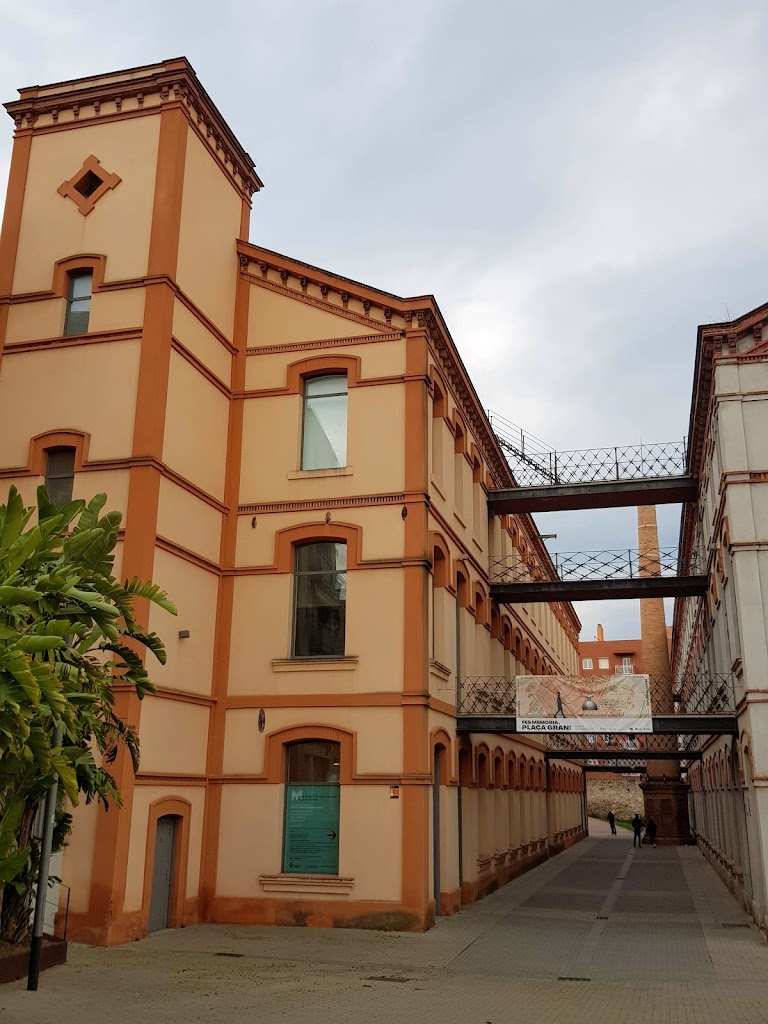 Can Marfa Genero de punto