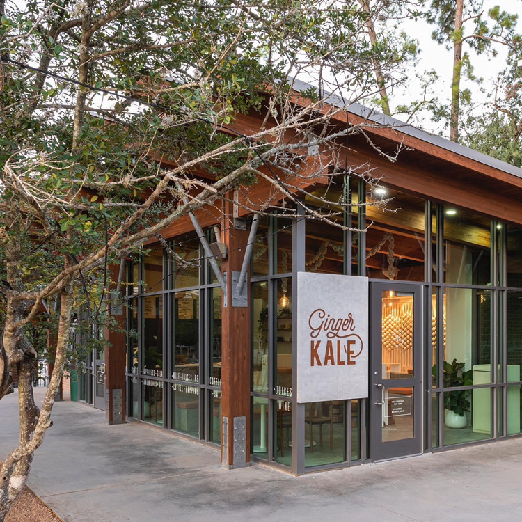 Photo of Ginger Kale