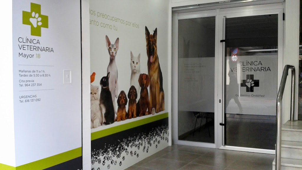 CLINICA VETERINARIA MAYOR 18 — Perro