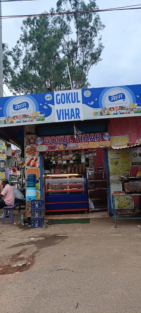 Gokul Vihar
