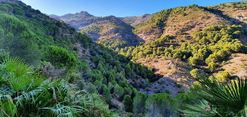 Sendero Inicio