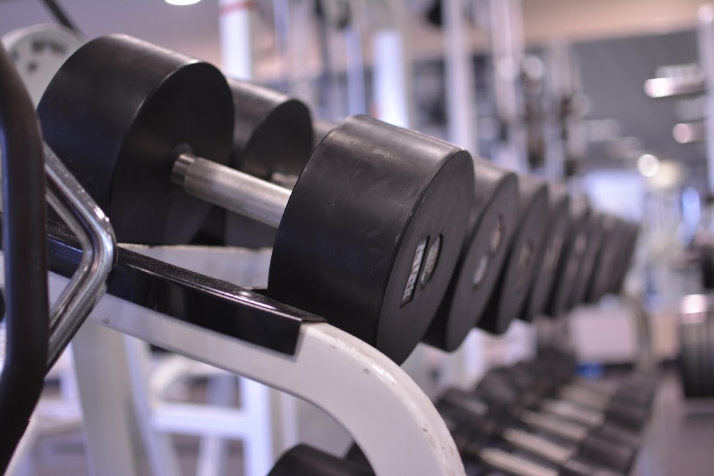  Insight Health and Fitness Center