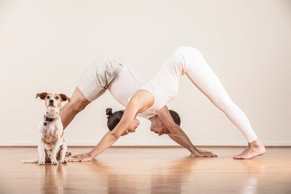  Thousand Petals Yoga