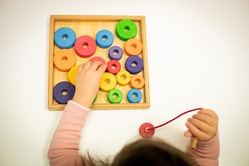 Sinapsis Acompanyament Pedagogic — Del propietario