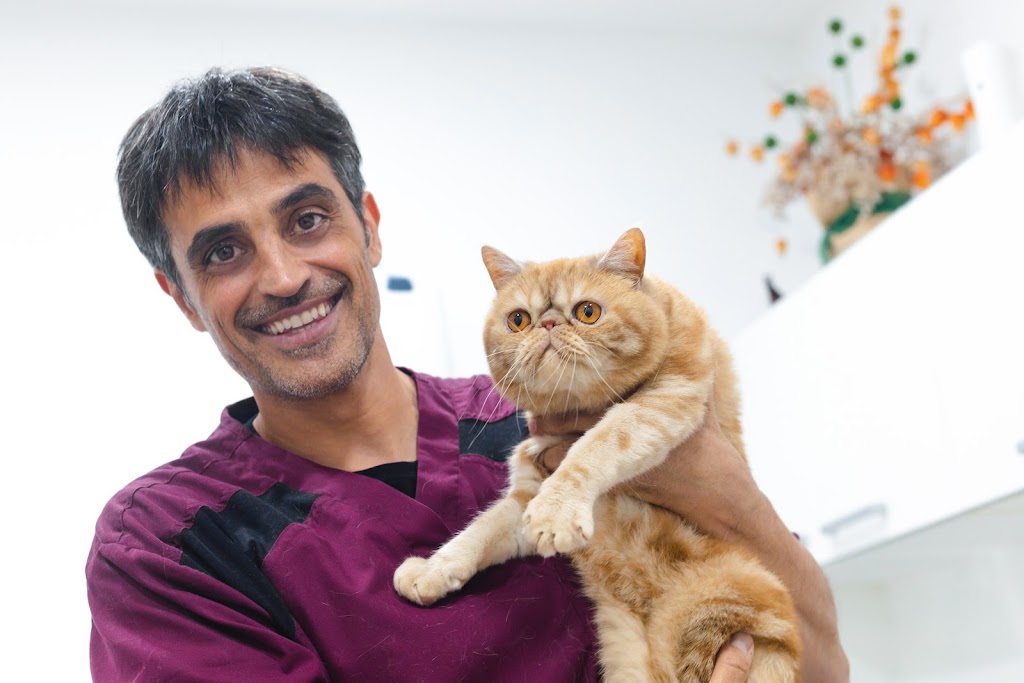 Clinica Veterinaria Montau