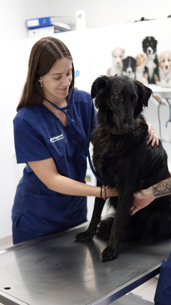 Hospital Veterinario La Moraleja (Grupo Penagrande)