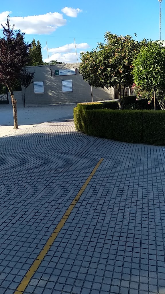 CEIP Medina Elvira
