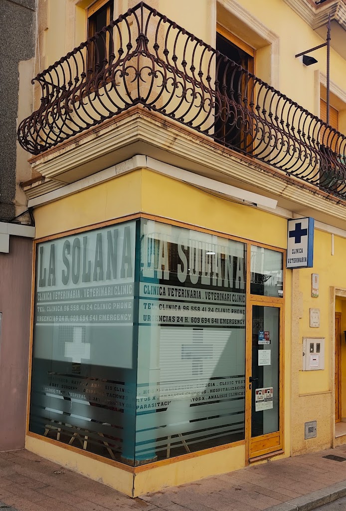 CLINICA VETERINARIA LA SOLANA - ORBA — Del propietario