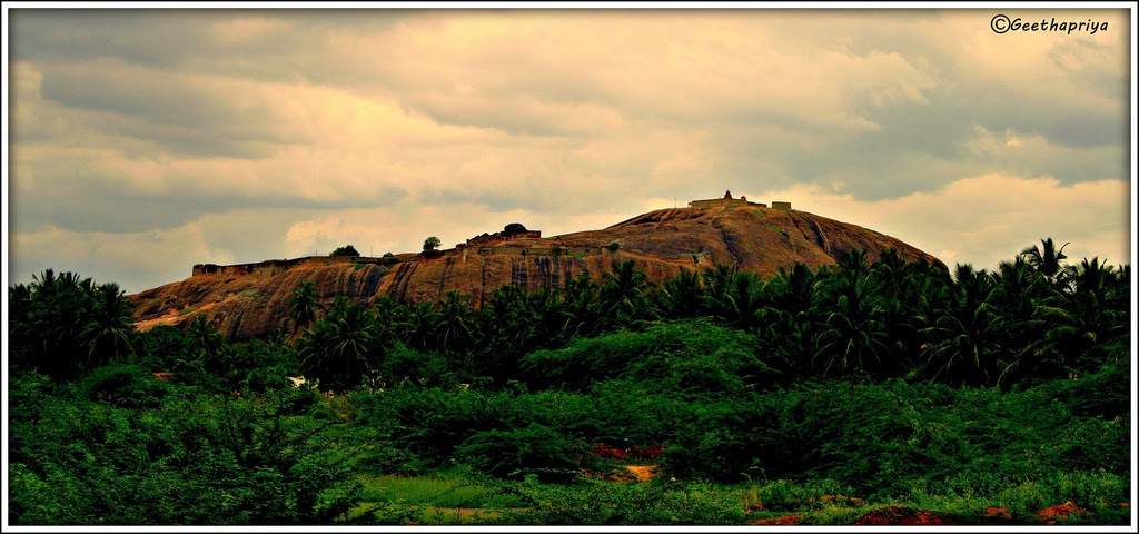Sri Lakshmi Vilas Hotel
