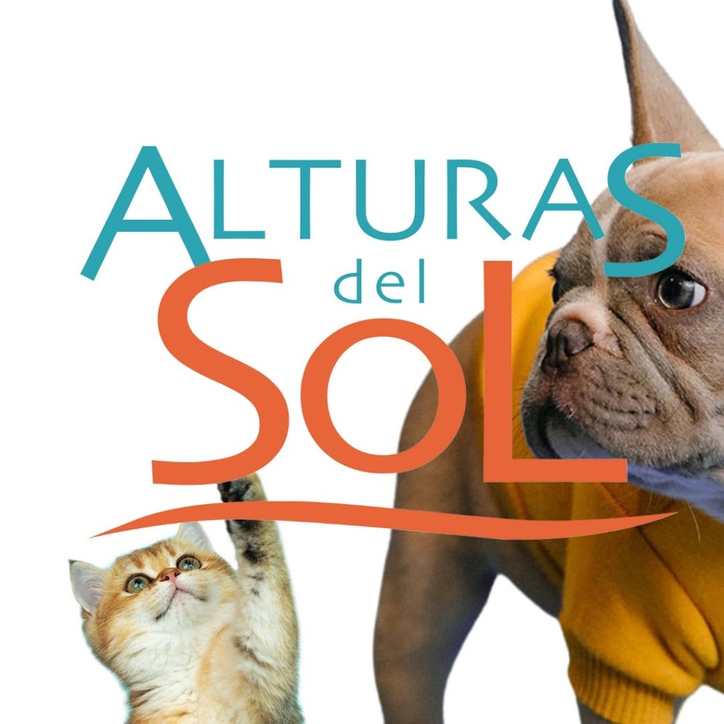 Perro