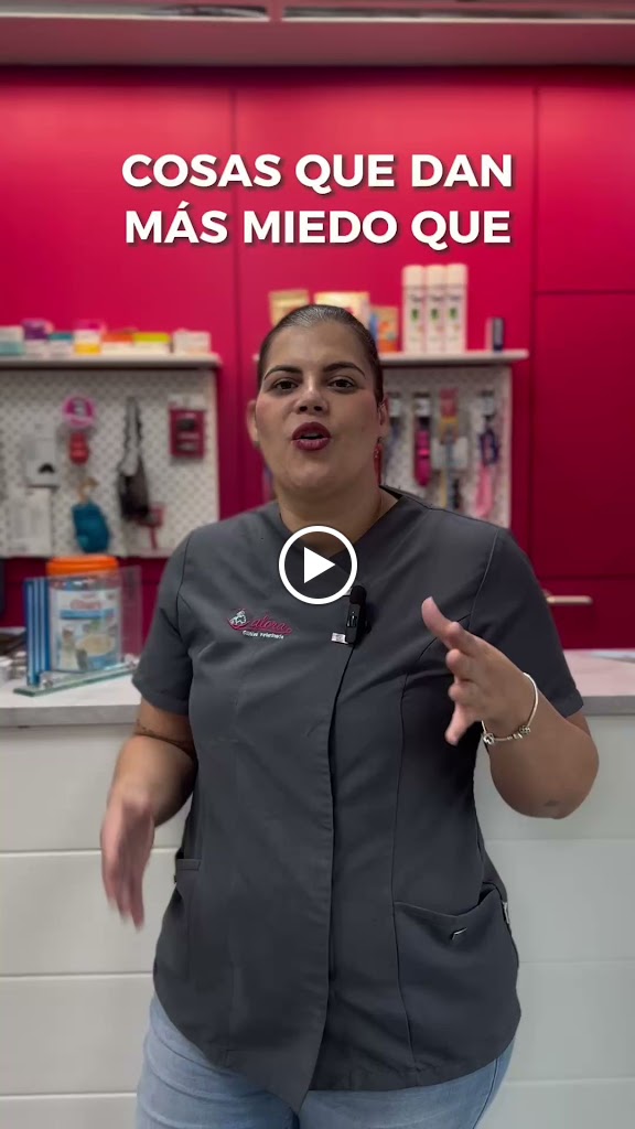 Clinica Veterinaria Alora | Chiclana — Del propietario