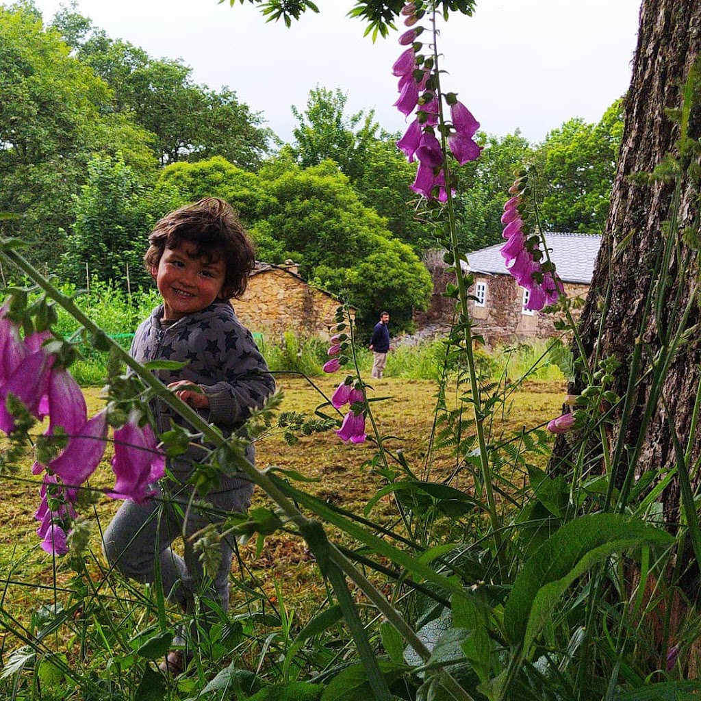 The Little Foxes Club: Casa de Piedra con Actividades de Ingles Nativo en plena Naturaleza