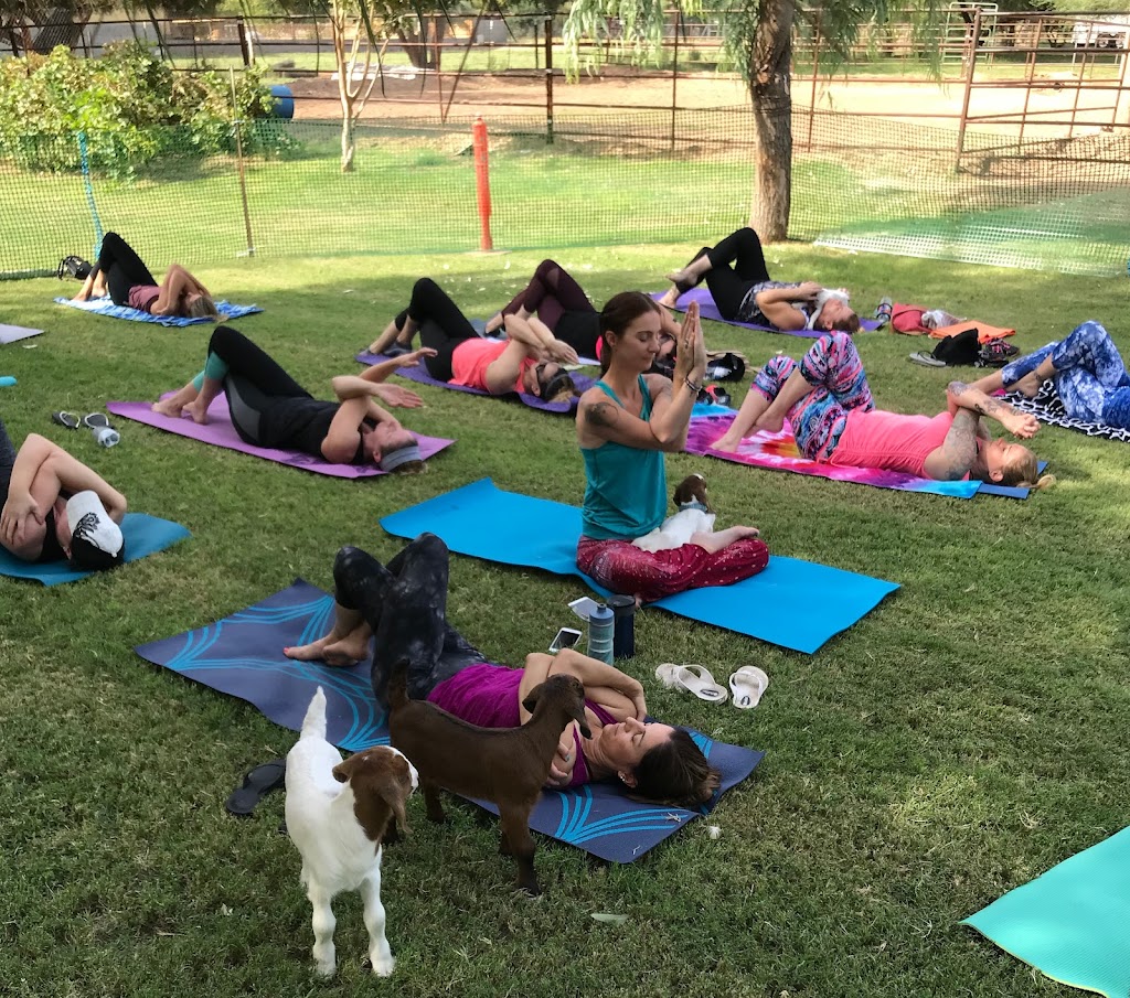  Baby Goat Yoga @ Mesquite Meadows