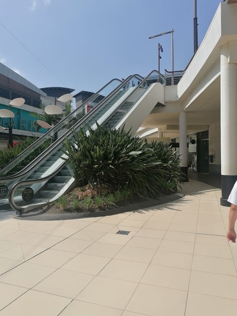 Parking Cola de Ballena