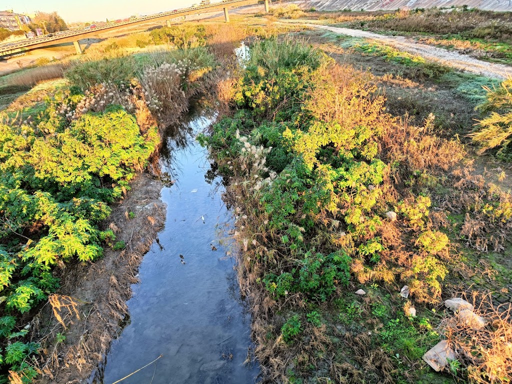 Rotonda de la avenida Miguel Navarro