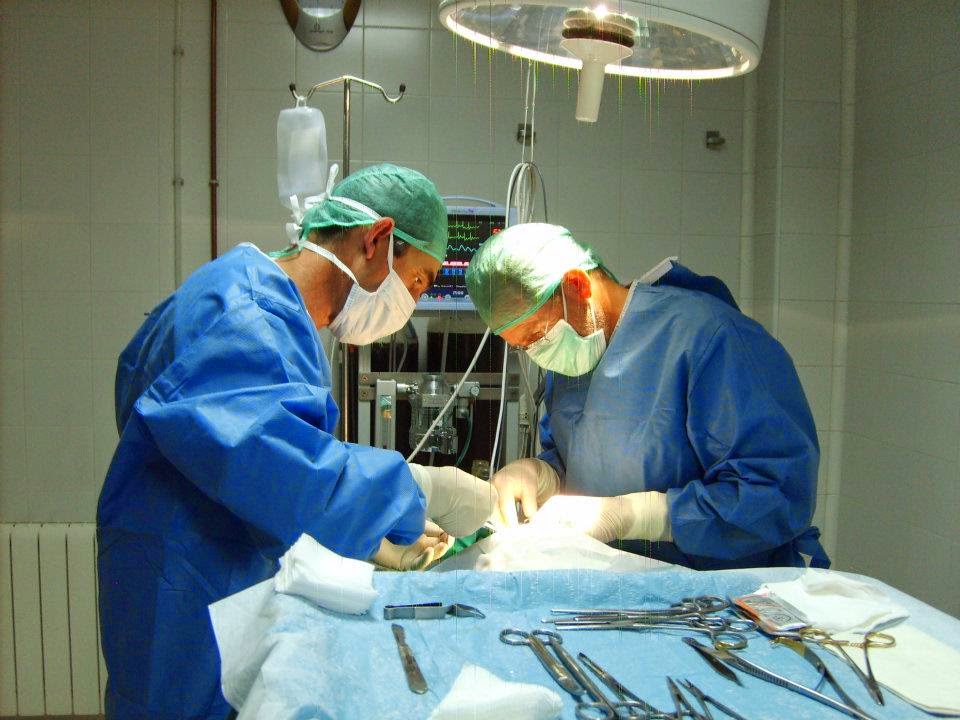 Centro Veterinario Cantalejo — Del propietario