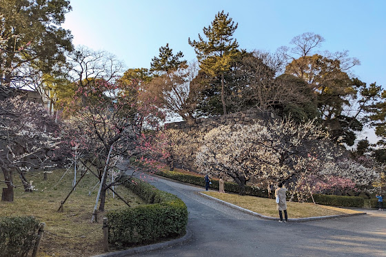 梅林坂 景點