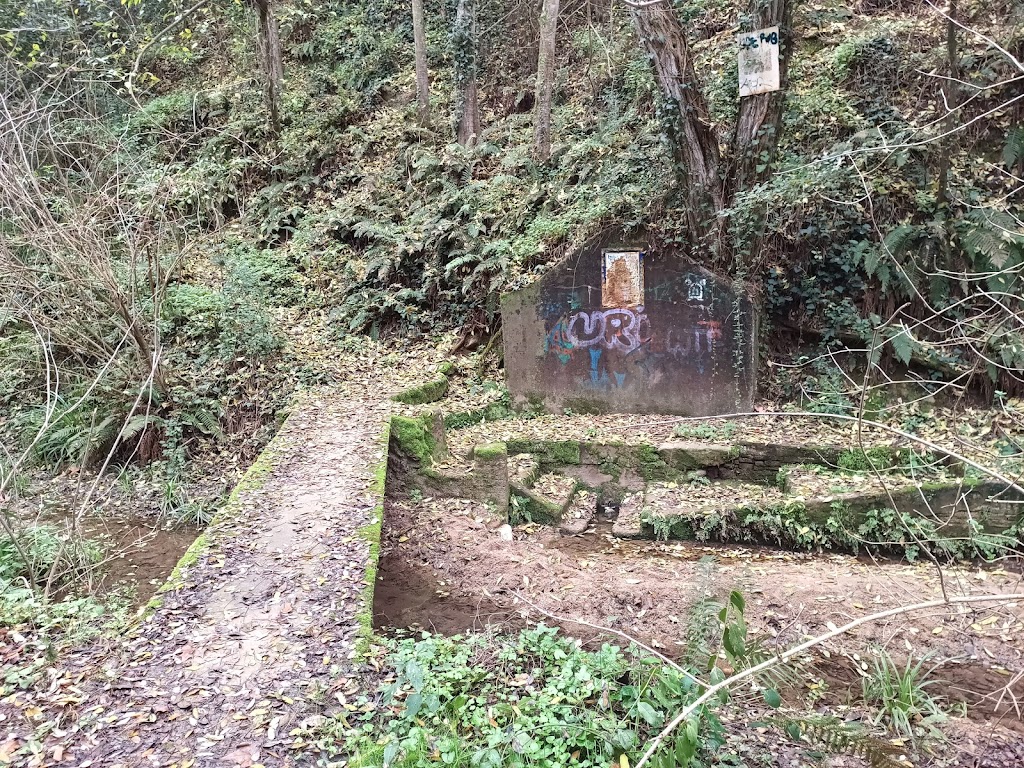 Font de Can Roda