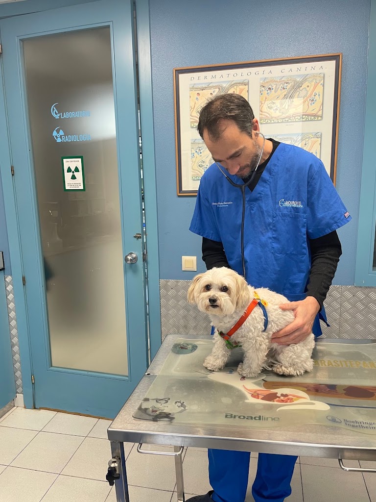 Clinica Veterinaria Mourente — Del propietario