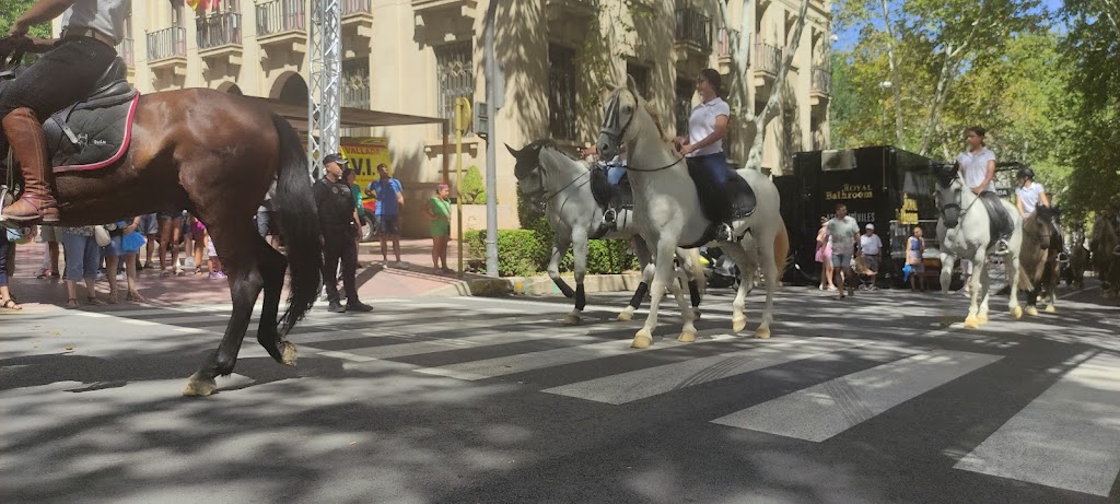 Punto De Carga Coches Electricow