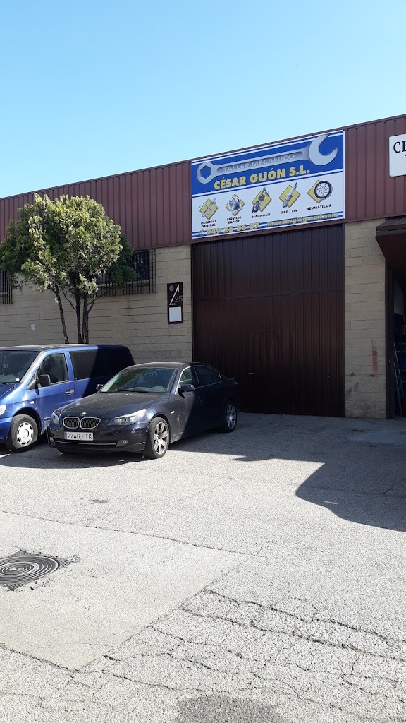 Taller Mecanico Cesar Gijon S.L