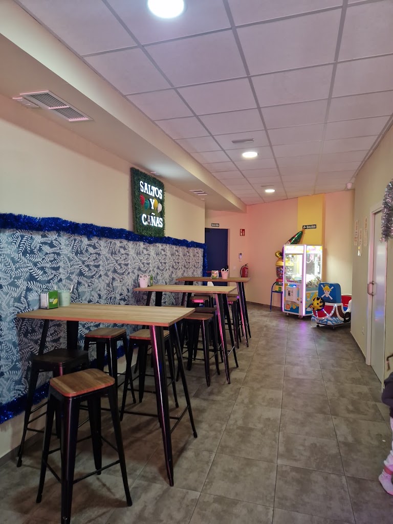 SALTOS Y CANAS — Ambiente