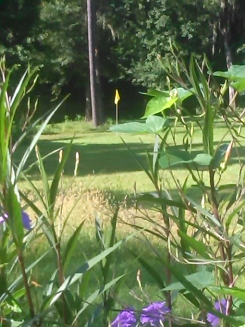  Andy's Golf Lessons and practice range
